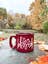 Campfire Mugs