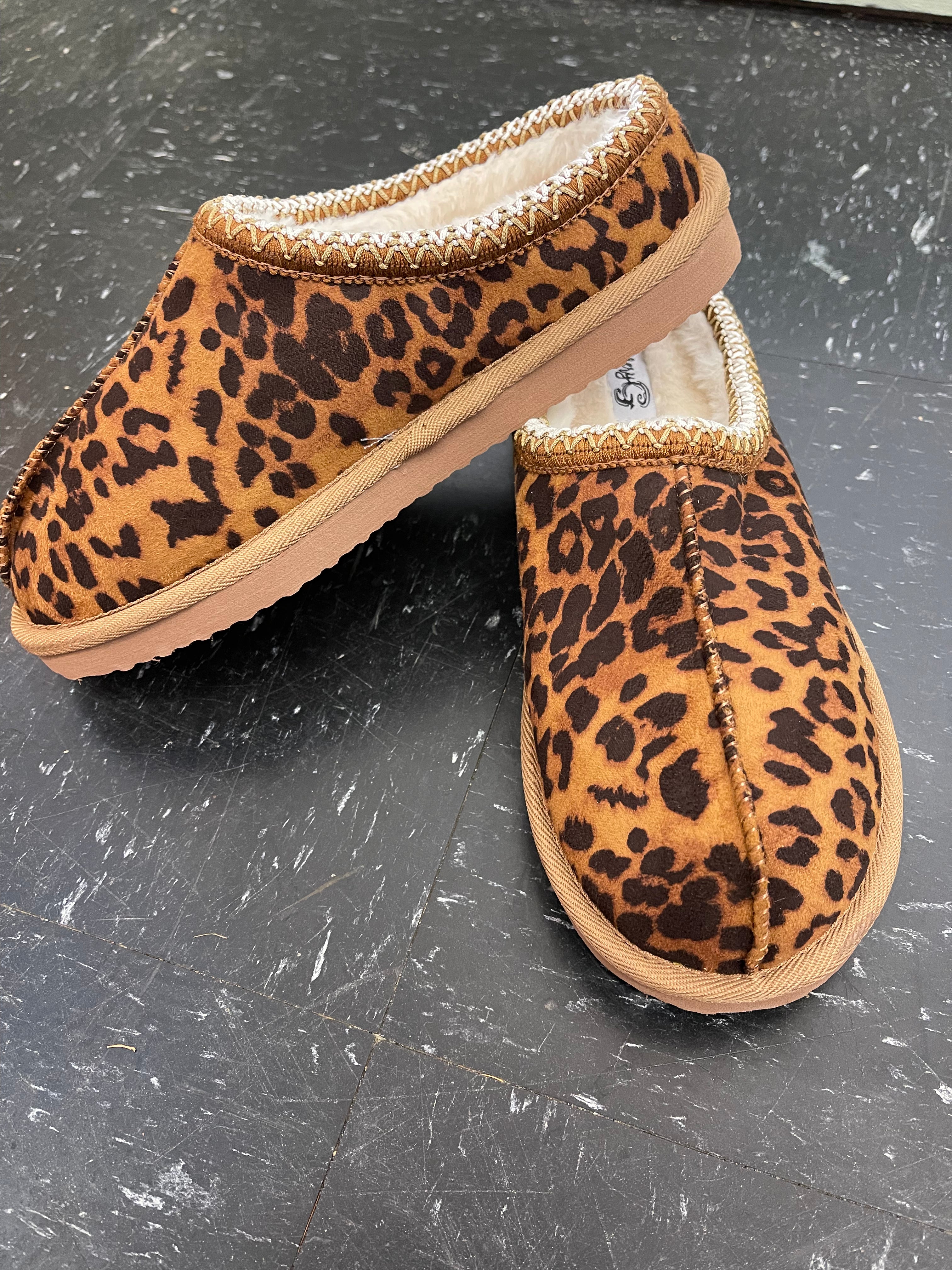 Bruin Slipper